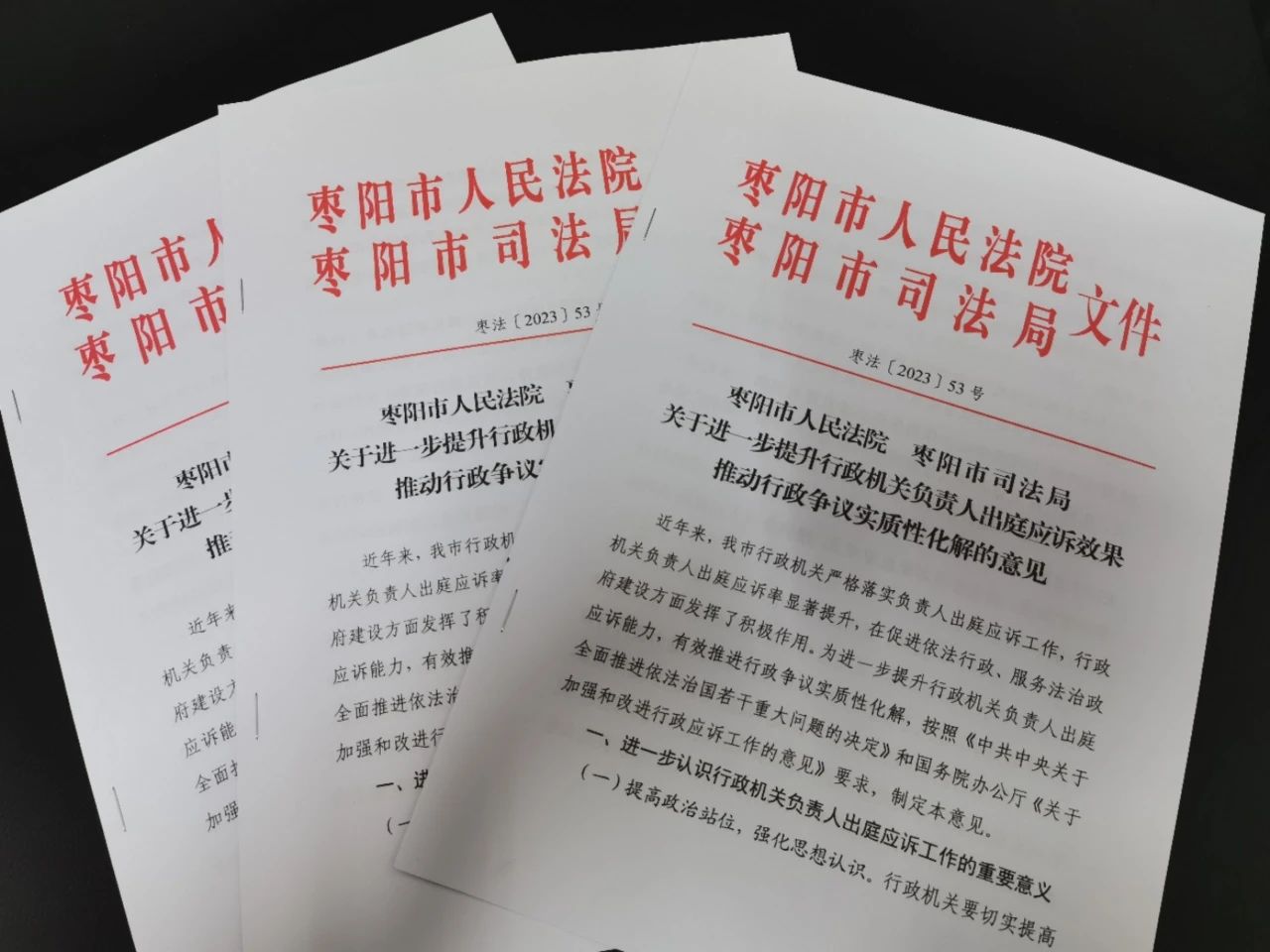 （11.15）枣阳市人民法院与市司法局联合出台意见 促进行政争议实质性化解.jpg